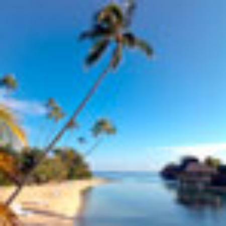 Wayside Chinese Takeaway